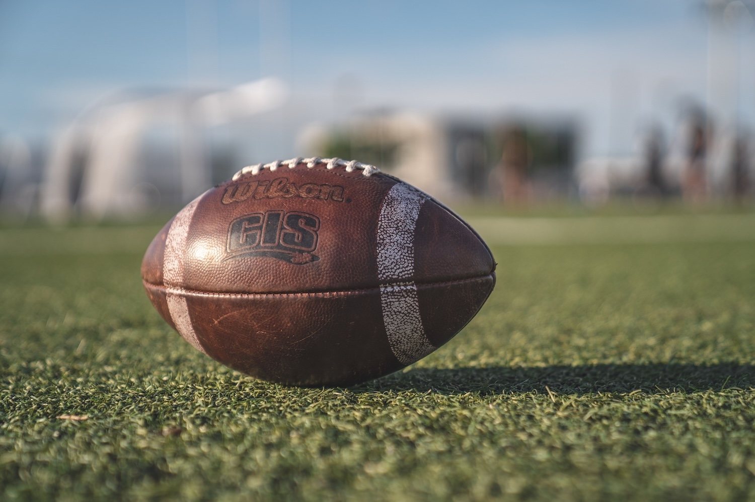 NFL Sundays, Big Screens, and the Fun of Football Season